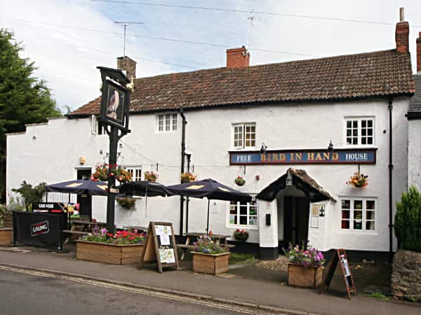 Bird in Hand Taunton