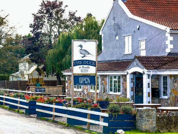 Duck at Burtle Burtle